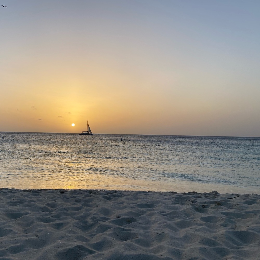 Meet your Posher, Sonia